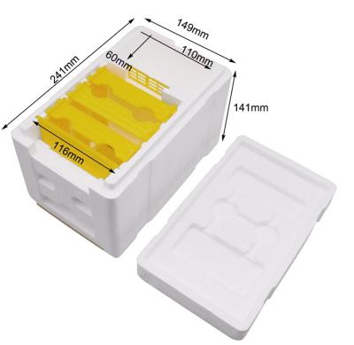 중국 Beekeeping tools PP material mini Bee Mating Queen Bee Mating Box Queen Bee Mating Hive 판매용