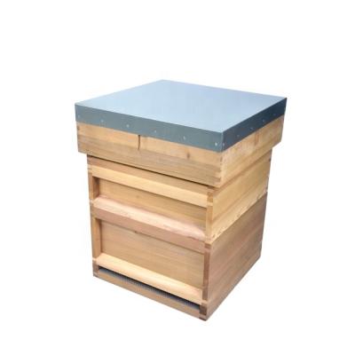 China British National Beehive Wooden Honey Bee Box For Bee à venda