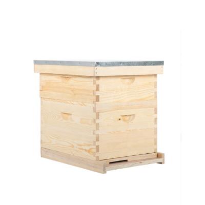 China Apicultura Beekeeping Equipment 10 Frames Two Layers Langstroth Bee Hive Beekeeping for sale