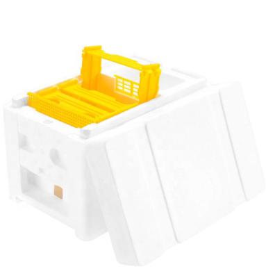 Κίνα Apiculture Beekeeping Equipment Queen Bee Mini Mating Box προς πώληση