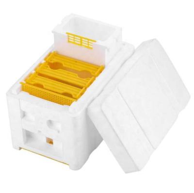 China Queen Bee Mating Box Pollination Box Other Animal Husbandry Equipment zu verkaufen