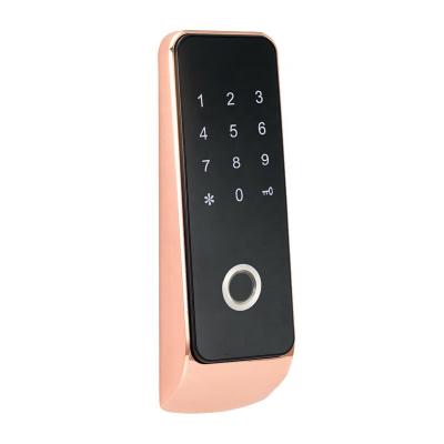 China Digital Biometric Locker Cabinet Fingerprint Locker Cabinet Lock With Public Mode For Gym for sale