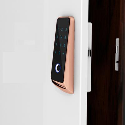 China GYM Wardrobe Locker Cabinet Door Fingerprint Password Keyless Lock for Cabinet and Public /Private Lockers for sale