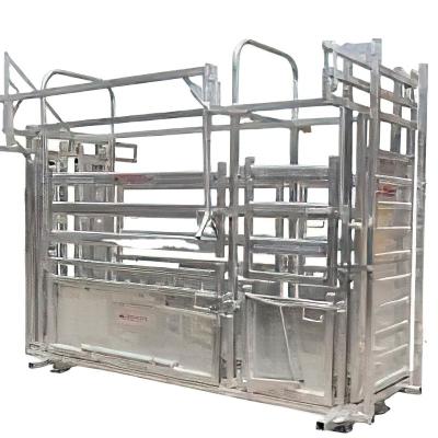 China Standing Farms Manual Operation Running Compression Cattle Crush Chute Liner Compression Chute Cattle Handling for sale