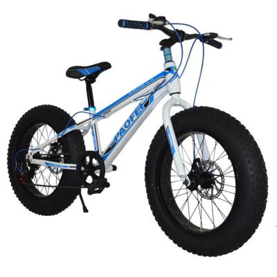 China Street 21 Speed ​​Carbon Steel Frame Disc Brake 20 Inch Fat Bike for sale