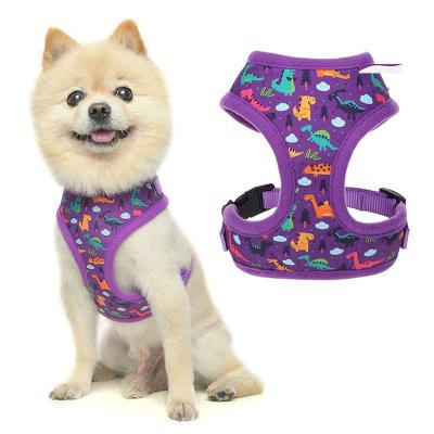 China Sustainable Kind Mesh Padded Pet Walk Dog Harness Fashion Design Flower Soft Breathable Label for sale