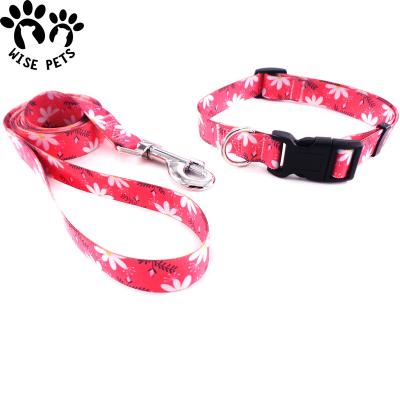 China Sustainable Wholesale Pet Collar Leash Set in Different Size for Outdoor Dog Training for sale