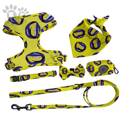 China Viable Wholesale Designers Printing Custom Logo Adjustable Vest Luxury Dog Harness Set Pet Collars And Leashes De Perro for sale