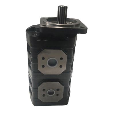 China Cast Iron Piston Pump Parker P25 Series P25X178B1R717-7BRS12-1 Double Hydraulic Gear Pump for sale