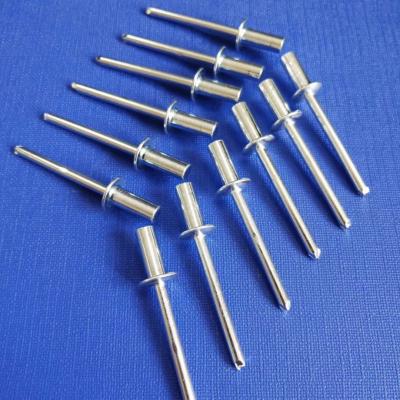 China Factory Wholesale High Quality Stainless Steel Aluminum Firmware Galvanized Rivets for sale