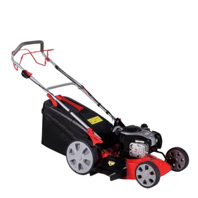 China Small Garden Machinery 22Inch Cordless Hand Push Gas Lawn Mower for sale