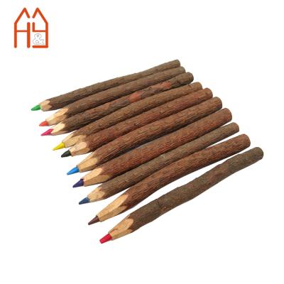 China Creative Promotional Gift 10pcs Assorted Stick Twig Colored Outdoor Wooden Pencil for sale