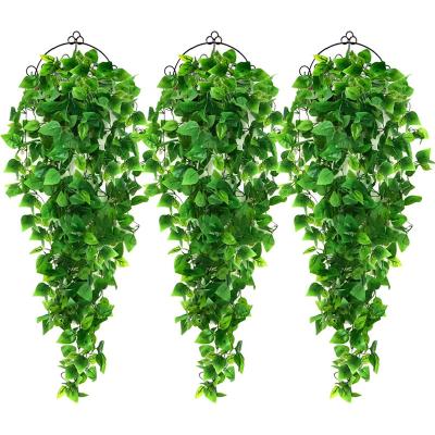 China Fashional Artificial Amazon 3.6ft Ivy Vine Hanging Plants For Home Decor for sale