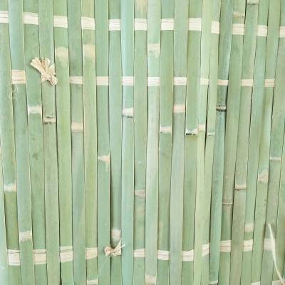 China GREEN BAMBOO RAFFIA viable from T.A.O. by SUKKAH for sale