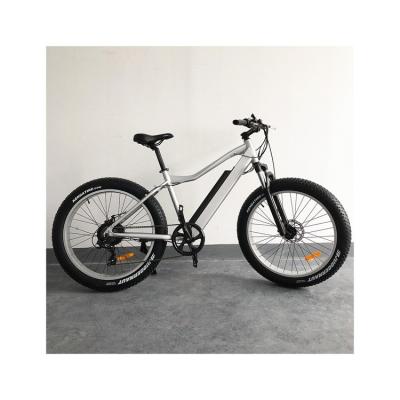 China 750W Fat Tire Aluminum Alloy ebike 750W 48V Electric Bike 1000 Watt Electric Bike Electric Bicycle for sale