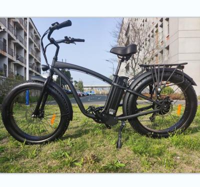 China Factory direct supply 750w aluminum alloy tire fat tire 1000w 2 Seat electric bike with lowest price for sale