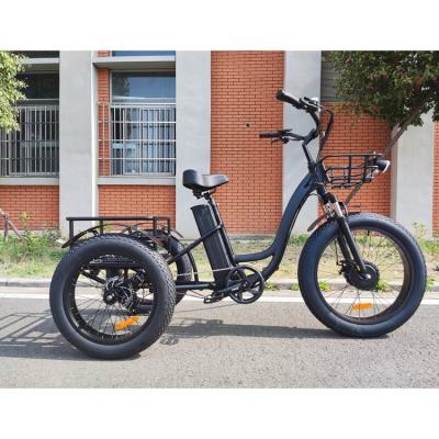 China Electric Bicycle 3 Wheel Cargo 3 Wheel Electric Bike Electric Bike 48V 500W for sale