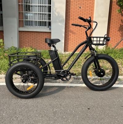 China Rear 20inch Front 24inch Fat Tire Tire Cargo 3 Wheel 48v 500w Electric Bike Bicycle For Elderly for sale