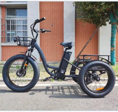 China Newest 48v 500w factory delivery 3 wheels cargo electric bike with 200KG max load for adults for sale