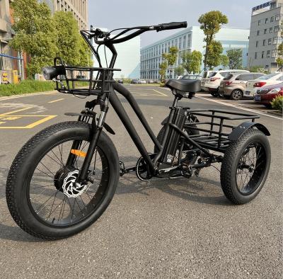 China OEM 3 wheel 250w 500w fat tire electric bike 48v for old people with disc brake for sale