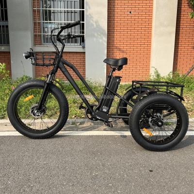 China High Quality Cheap Electric Cargo Bike Fat Bike 3 Wheel 48v 500w Tire 3 Tire Tricycle With Reasonable Price for sale