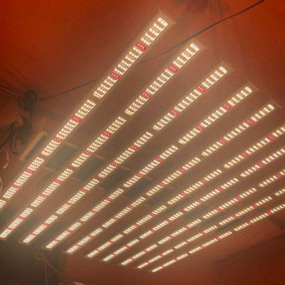 China Seed starting china grow led lights latest product 12 strip wholesale led grow light samples for sale