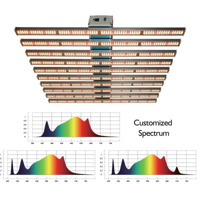 China Seed Starting Nalite H2-PL135 Full Spectrum 800 Watt UVIR Samsung301b Led Grow Lights Strip For 10 Bar Indoor Greenhouse for sale