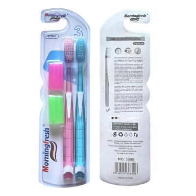 China For Direct Selling Home Morning Factory Use Fresh Multiple Toothbrush Cleaning Oral Brush Head Protective Cover Device Brush Plastic Toothbrush for sale