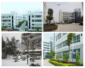 Verified China supplier - Yiwu Shengru Trading Co., Ltd.