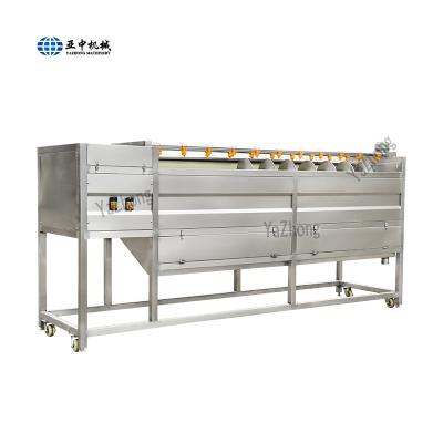 중국 Snack Factory Washing Machine Hair Roller Industrial Electric Screw Potato Peeling Vegetable Washing Machine 판매용