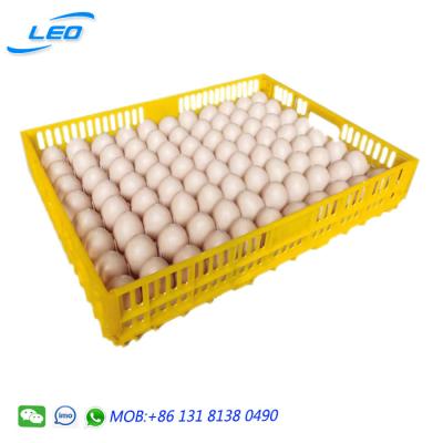 China Plastic Egg Incubator Hatching Egg Tray for Egg Incubator Foldable Hatch Baskets for sale