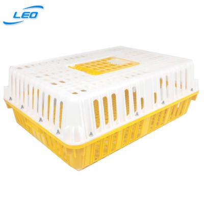 China Cheapest Plastic Mesh Price Live Chicken Crate Crate For Live Chicken for sale