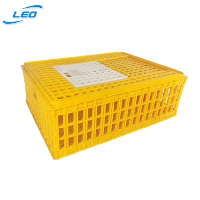 China Mesh Best Selling Plastic Chicken Transport Crate Cage For Sale for sale