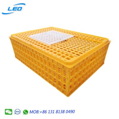 China Best Selling Plastic Mesh Transport Cage For Chicken With High Quality And Durability for sale