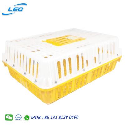 China 2020 Bestselling Mesh Plastic Transport Cage For Chicken Transport Crate for sale