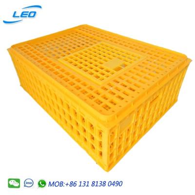 China High Quality Large Size Mesh Transport Crate For Live Poultry for sale