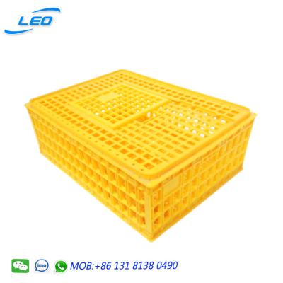 China Plastic Mesh Best Price Transport Crate For Chicken for sale