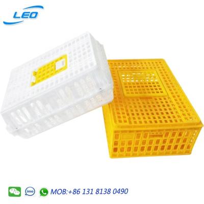 China Cultivate 2020 best-selling poultry transport chicken crate cage for sale for sale