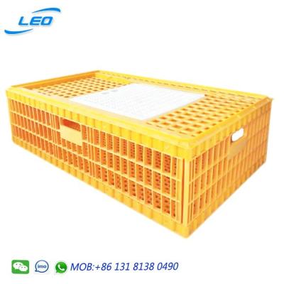 China Plastic Mesh Large Size Poultry Transport Crate Chicken Crate for sale