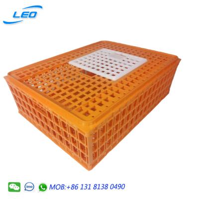 China 2022 New Color Mesh Plastic Bird Crate Chicken Live Transport Cage for sale