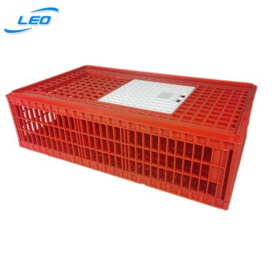 China Mesh 2021 new arrival big size plastic crate for chicken poultry chicken transport crate with high quality for sale