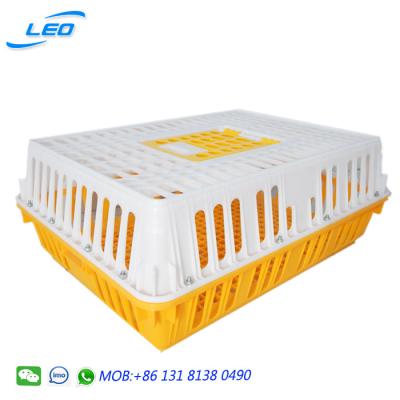 China Farms low cost transportation cage for chicken transport crate for sale