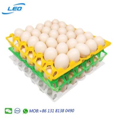 China 2020 best selling chicken egg tray plastic egg tray for 30 chicken eggs for sale