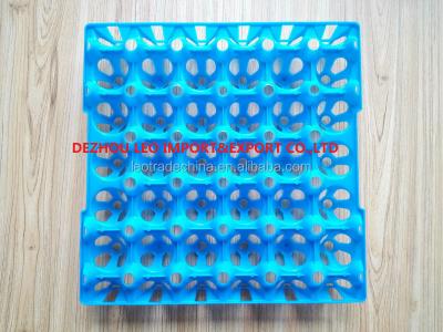 China Hot Selling Plastic UAE Egg Crate Egg Tray For Chicken Eggs for sale