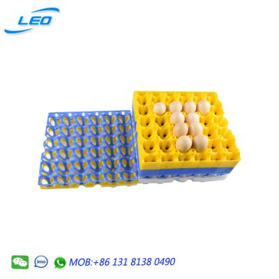 China Best quality chicken egg tray pp plastic egg tray for 30 chicken eggs for sale