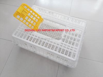 China The Cheapest Plastic Mesh Chicken Transport Crate For Sale for sale