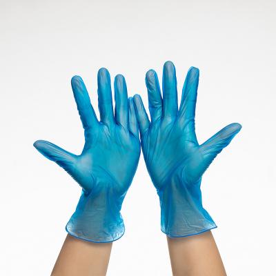 China Cheap Personal Care High Quality Transparent Blue Latex PVC Vinyl Non Gloves For Food Barber Shop Beauty Salon for sale