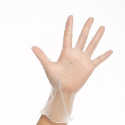 China China Manufacturer Wholesale Personal Care 9 Inch Clear Latex PVC Vinyl Non Gloves For Tattoo Food Wrapping for sale