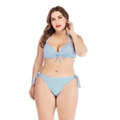 China Wholesale Anti-UV Women's Striped Two-Piece Swimsuit Bikini Swimwear Beachwear Plus Size Swimwear for sale