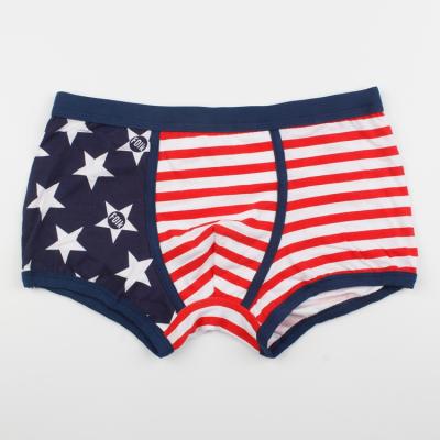 China Antibacterial Custom Striped Boxer Underwear Print Teen Boys for sale